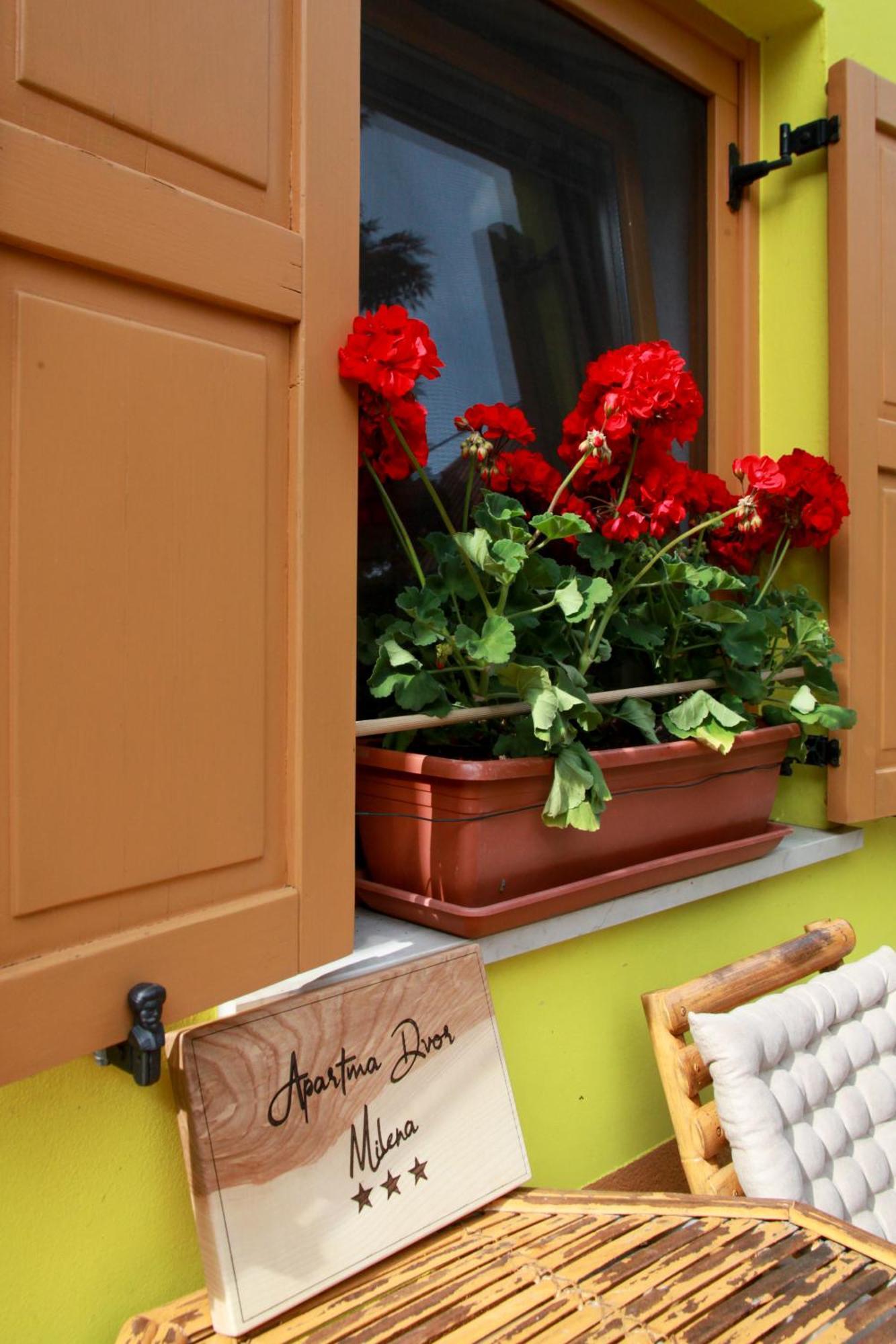 Apartma Dvor Milena Bovec Exterior foto